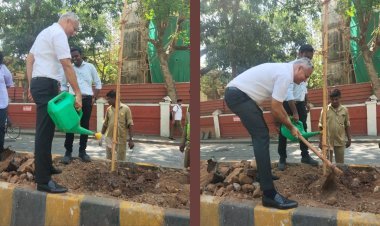 जागतिक पर्यावरण दिनानिमित्त कुलाबा येथील कफ परेड येथे मकरंद नार्वेकर यांची अभिनव वृक्षारोपण मोहीम